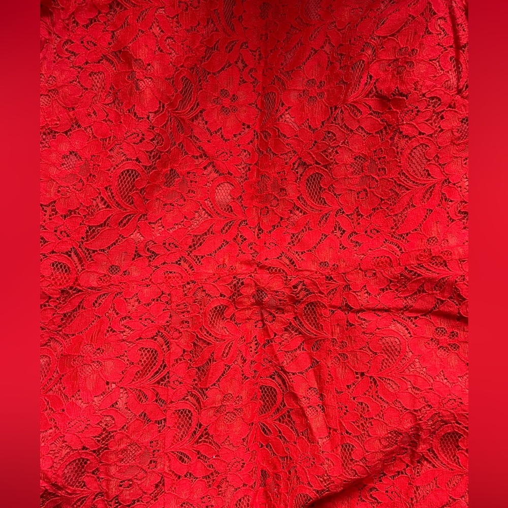 J. Crew red lace dress sz 4 - Picture 5 of 7